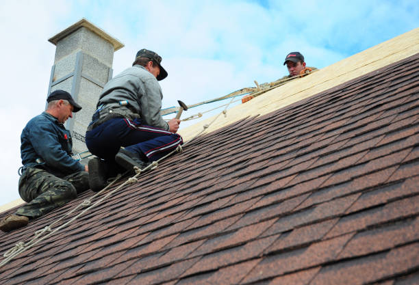 Best Storm Damage Roof Repair  in Beaver Falls, PA
